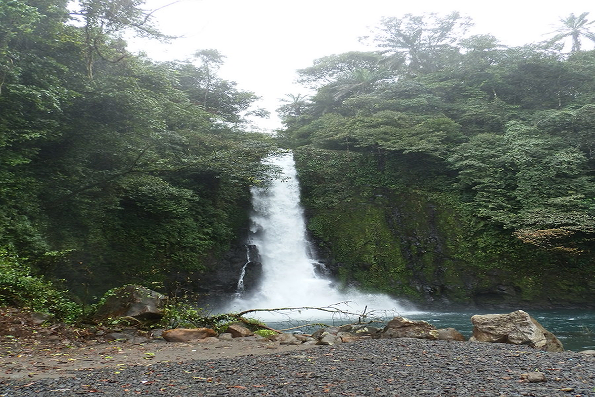 La cascada de Ureka
En el extremo sur de la isla de Bioko, en Guinea Ecuatorial, y en un conjunto biogeogr&aacute;fico de selva monz&oacute;nica con m&aacute;s de 10.000 mm de precipitaci&oacute;n anual, uno de los records del mundo, se encuentra esta cascada de alto valor cultural para los bubis, etnia local de Bioko. Hasta hace tres a&ntilde;os, su acceso era fundamentalmente por mar, hasta que el gobierno guineano implement&oacute; una carretera asfaltada para llegar al sur de la isla. La isla de Bioko, antigua Fernando Poo del per&iacute;odo espa&ntilde;ol, es de naturaleza volc&aacute;nica y forma parte del cintur&oacute;n volc&aacute;nico del Golfo de Guinea, que se extiende desde la Isla de Santo Tom&eacute; al Sur hasta el Monte Camer&uacute;n en el Continente. En Bioko, en concreto, el edificio volc&aacute;nico m&aacute;s importante lo constituye el Pico Basil&eacute;, con 3000 m. de altitud. La isla fue recorrida y estudiada bot&aacute;nicamente en los a&ntilde;os 60 por el profesor Emilio Guinea (1907-1985). En sus apuntes de campo dibuj&oacute; en acuarela esta cascada. Desde entonces quedo inmortalizada en la memoria hist&oacute;rica de la ciencia.